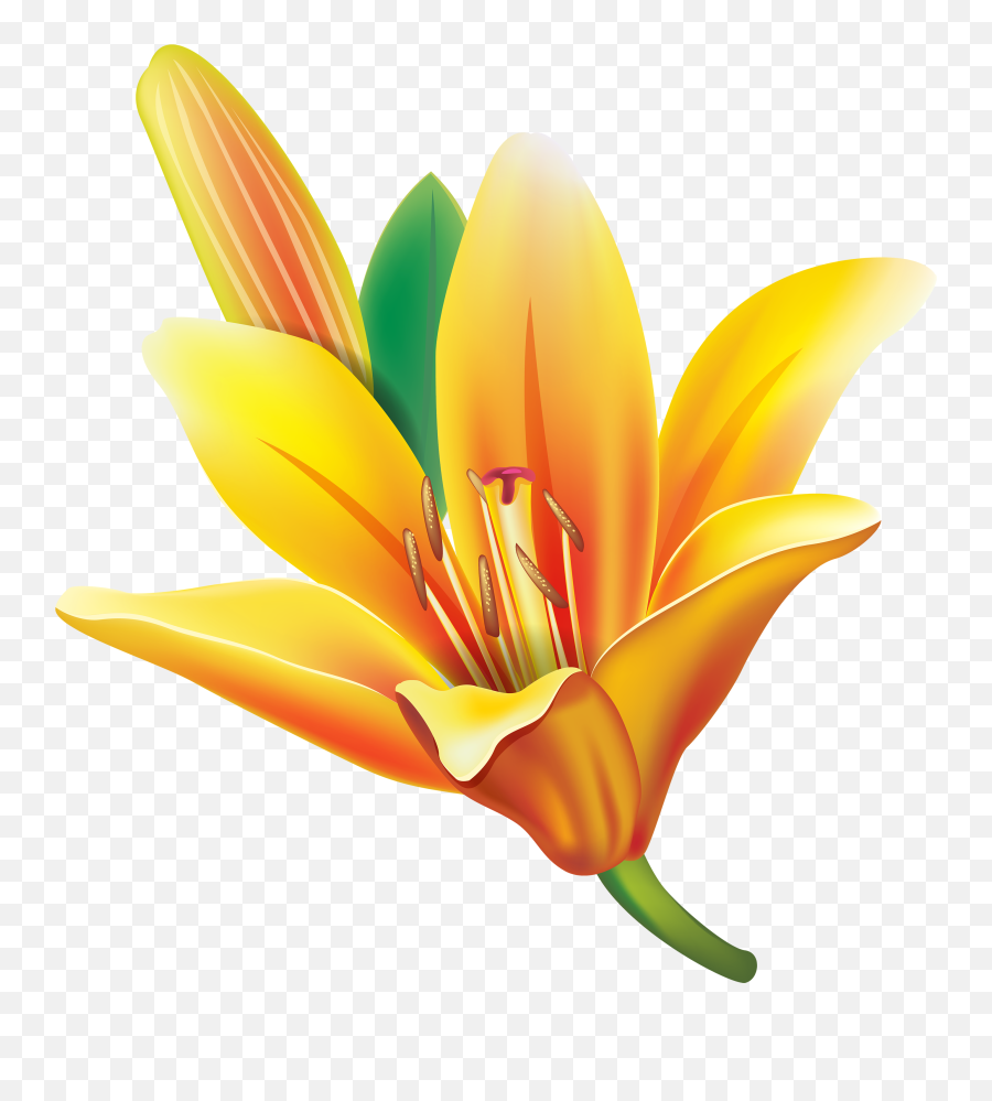 Clipart Easter Lily Flower Collection Gif - Clipartix Yellow Lily Flower Png Emoji,Lily Flower Emoji
