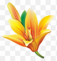 Clipart Easter Lily Flower Collection Gif - Clipartix Yellow Lily Flower Png Emoji,Lily Flower Emoji