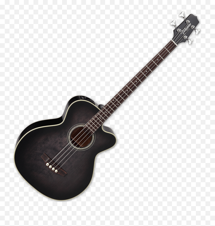 Takamine Pb5 Sbl Pro Series 4 Strings Acoustic Guitar With Emoji,4 Strings & Carol Lee - Emotions Away Remix