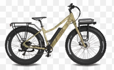 2021 Boar Emoji,Evo 48v Emotion Bike