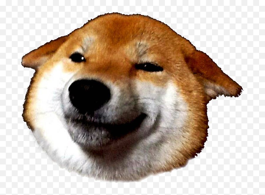Doge Png Transparent Images - Shiba Inu Head Transparent Emoji,Doge Emoji