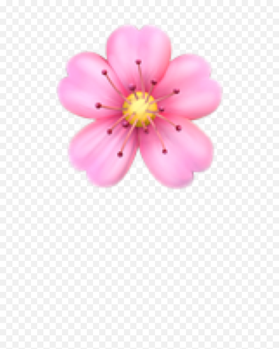Flower Emoji Sticker,Pink Flower Emoji Meaning