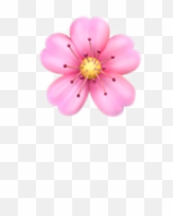 Flower Emoji Sticker,Pink Flower Emoji Meaning
