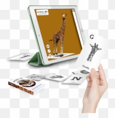 Space 4d Flash Cards Emoji,Printable Feelings And Emotions Flashcards