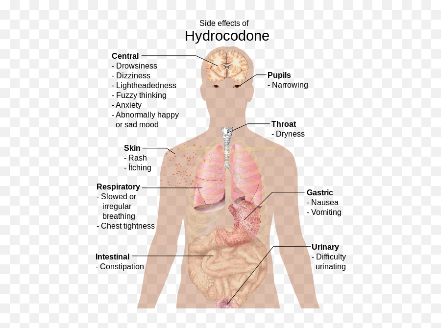 Order Cheap Tramadol Online - Hydrocodone Effects On Body Emoji,Guess The Emoji Level 34answers