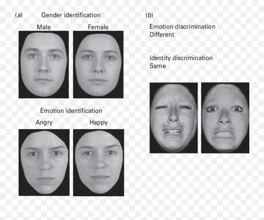 Stimuli From Experiments 1 And 2 - Face Emotion Discrimination Task Emoji,Different Facial Emotions