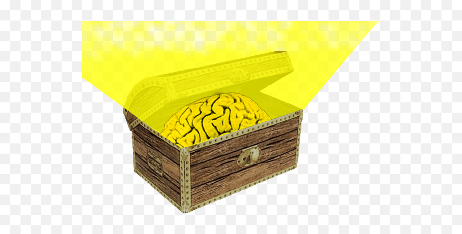 Youmap - Youbrain Storage Basket Emoji,Cerveau Gauche Emotion