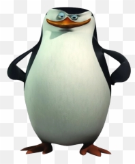 Madagascar Penguin Png Image - Skipper Penguin Png Emoji,Emojis De Pinguinos Utilizables