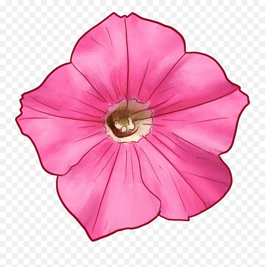 45 Types Of Pink Flowers Custom Graphics - The Home Simple Emoji,Names Of All The Flower Emojis