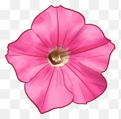 45 Types Of Pink Flowers Custom Graphics - The Home Simple Emoji,Names Of All The Flower Emojis