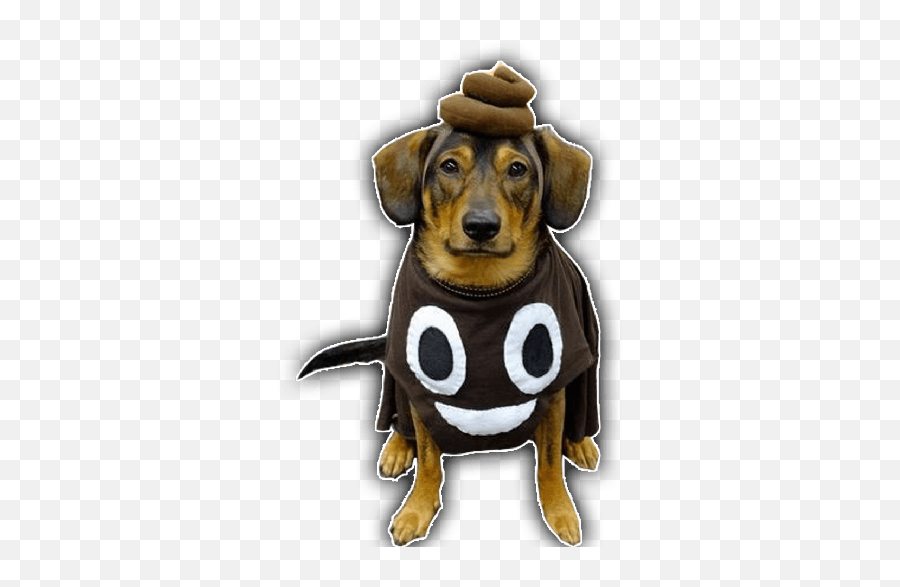 Gatiperros - Dog Supply Emoji,Diy Face Emoji Halloween Costume