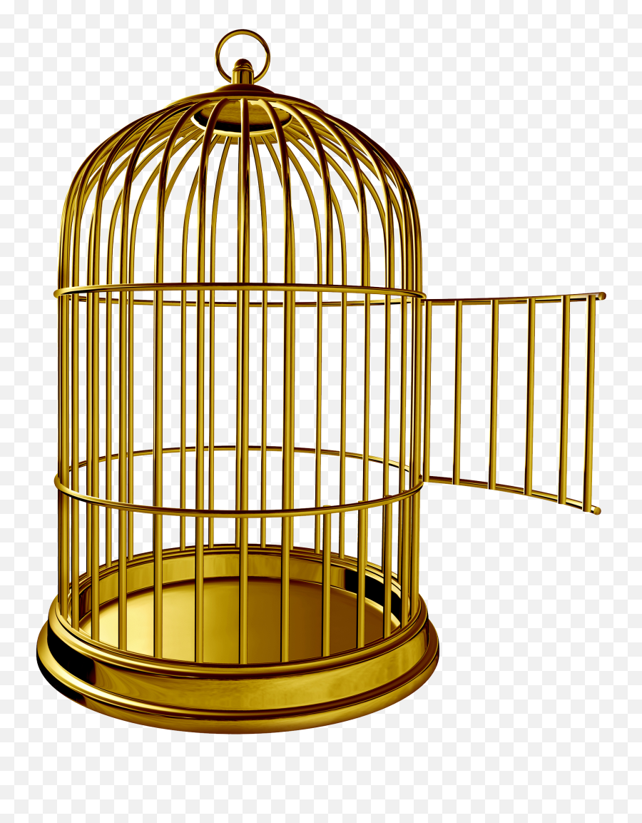 Golden Bird Cage Png Image Vintage Vogelkooi Huisdier - Bank Of Canada Museum Emoji,Cage Emotion