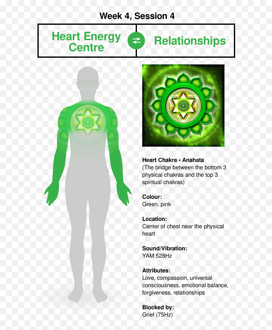 The 8 Week Quantum Upgrade - The Official Website Of Dr Emoji,Heart Chakra Emotions