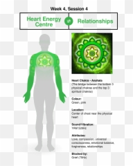 The 8 Week Quantum Upgrade - The Official Website Of Dr Emoji,Heart Chakra Emotions