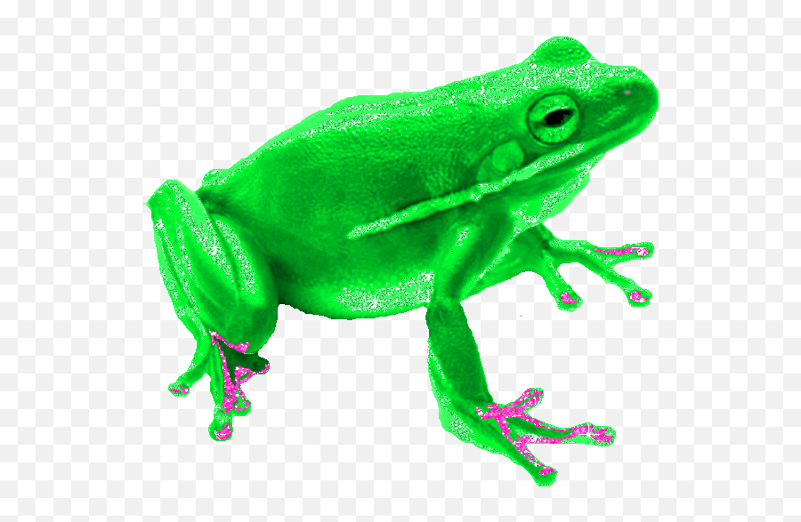 Top Cave Frog Stickers For Android U0026 Ios Gfycat - Frog Transparent Background Gif Emoji,Frog Emoji