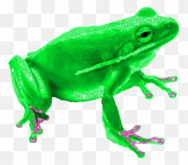 Top Cave Frog Stickers For Android U0026 Ios Gfycat - Frog Transparent Background Gif Emoji,Frog Emoji