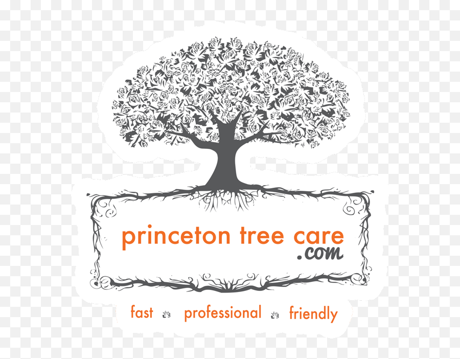 Princeton Tree Care - Premier Tree Service U0026 Removal Emoji,Emoticons About Tree Trimming