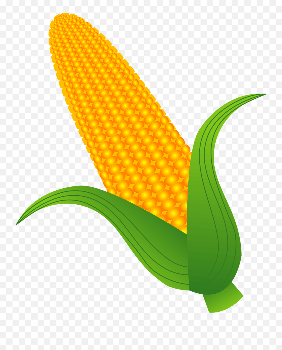 Ear Of Corn Clipart - Ear Of Corn Clipart Emoji,Corncob Emojis