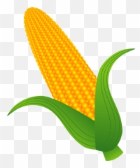 Ear Of Corn Clipart - Ear Of Corn Clipart Emoji,Corncob Emojis