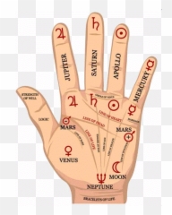 Superstition Psyop - Palm Diagram Emoji,An Infantryman..his Emotions Are Impenetrable