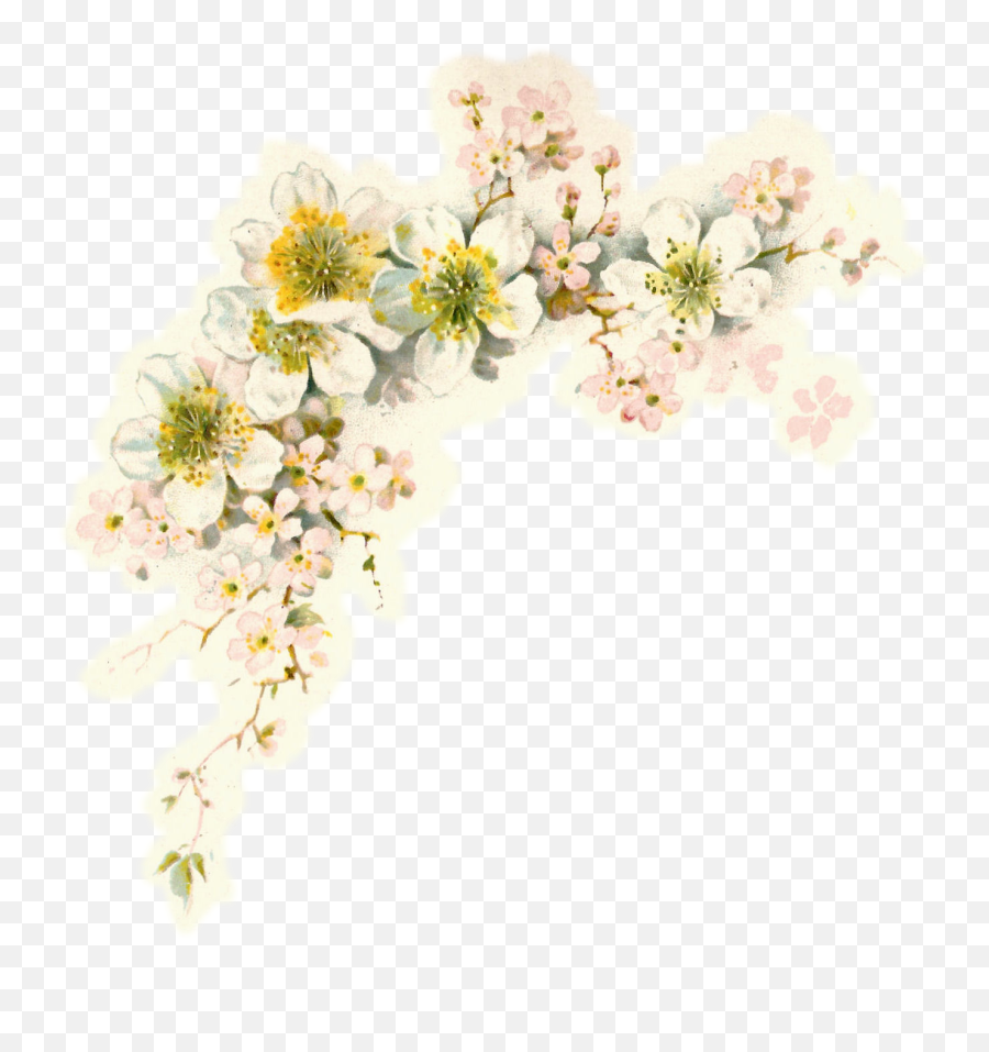 Welcome To Graffitiwall - Wedding Flower Graphic Emoji,Friendly Reminder Flower Emoticon