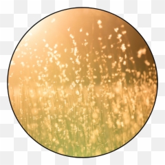 Depth Of Emotion Ama Ina - Good Lighting Emoji,Poems About The Dpeth Of Emotion