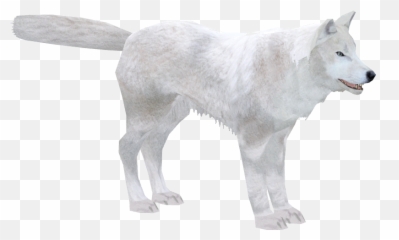 Download Arctic Wolf - Zoo Tycoon 2 Png Image With No Emoji,Zoo Tycoon 2 Emoticons