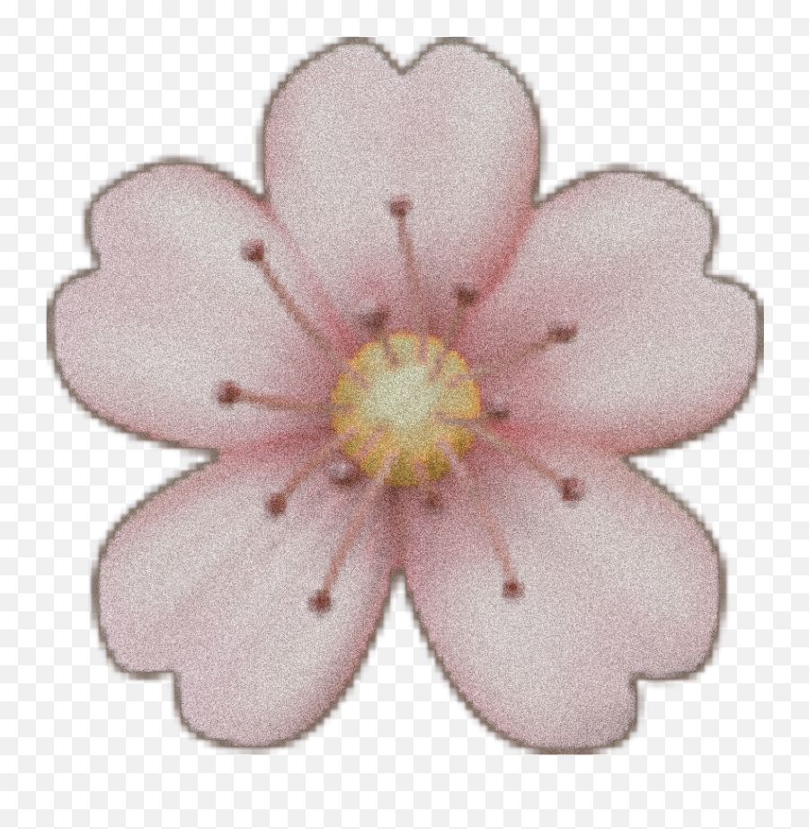 Cute Aesthetic Flower Sticker By U2022 U2022 - Aesthetic Flower Emoji,Noise Emoji