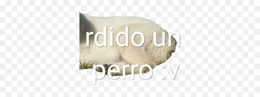 Memes En Español I Sticker Pack - Stickers Cloud Emoji,Te Amo Con Emojis Whatsapp Memes En Español I Sticker Pack - Stickers Cloud Emoji,Te Amo Con Emojis Whatsapp