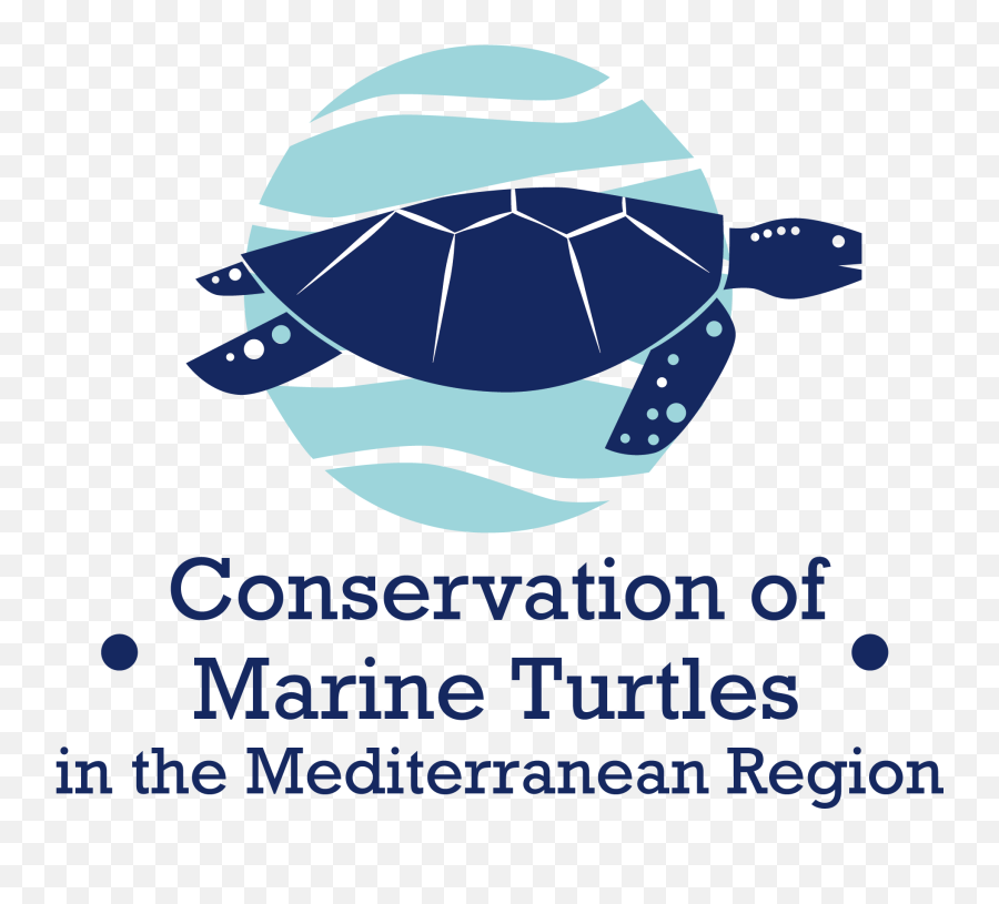Marine Turtles U2013 Medpan Emoji,Cold Turtle Emoticon