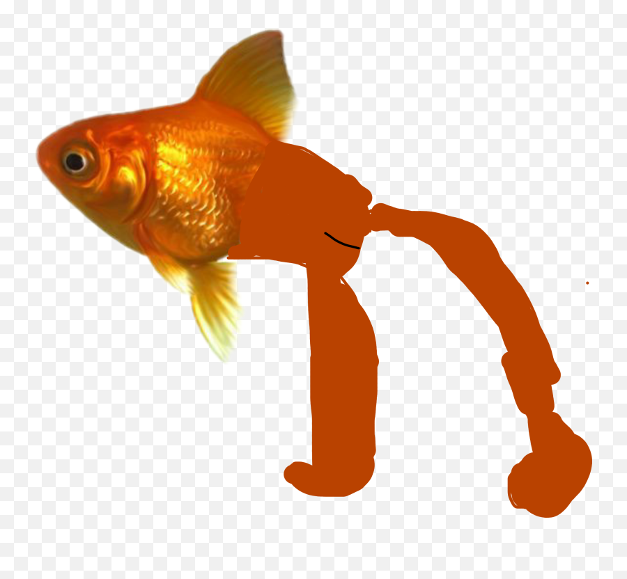 Discover Trending Pesce Stickers Picsart Emoji,Fishes Swimming Emojis