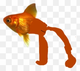 Discover Trending Pesce Stickers Picsart Emoji,Fishes Swimming Emojis