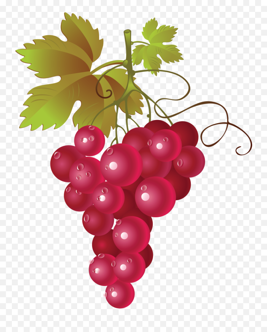 Grapes Clipart 8 - Red Grapes Clipart Emoji,Grape Emoji Png