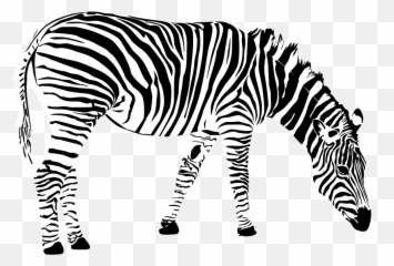 Zebra Png 3 Buy Clip Art - Cebra Blanco Y Negro Emoji,Zebra Emoji