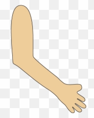 Arm Clipart Transparent Background Arm - Transparent Arm Clipart Emoji,Weak Arm Emoji