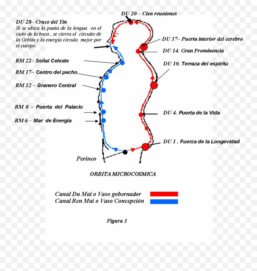 Enfermedades Y Emociones - Liberar Emociones Atrapadas Emoji,Dr Bradley Nelson Emotion Chart