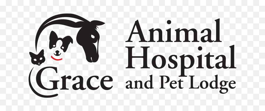 Home Veterinarian In Lexington Sc Grace Animal Hospital - L Occitane Emoji,What Is An Emotion Support Animal