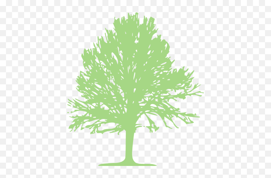 Guacamole Green Tree 24 Icon - Transparent Tree Icon Green Emoji,Facebook Deciduous Tree Emoticon