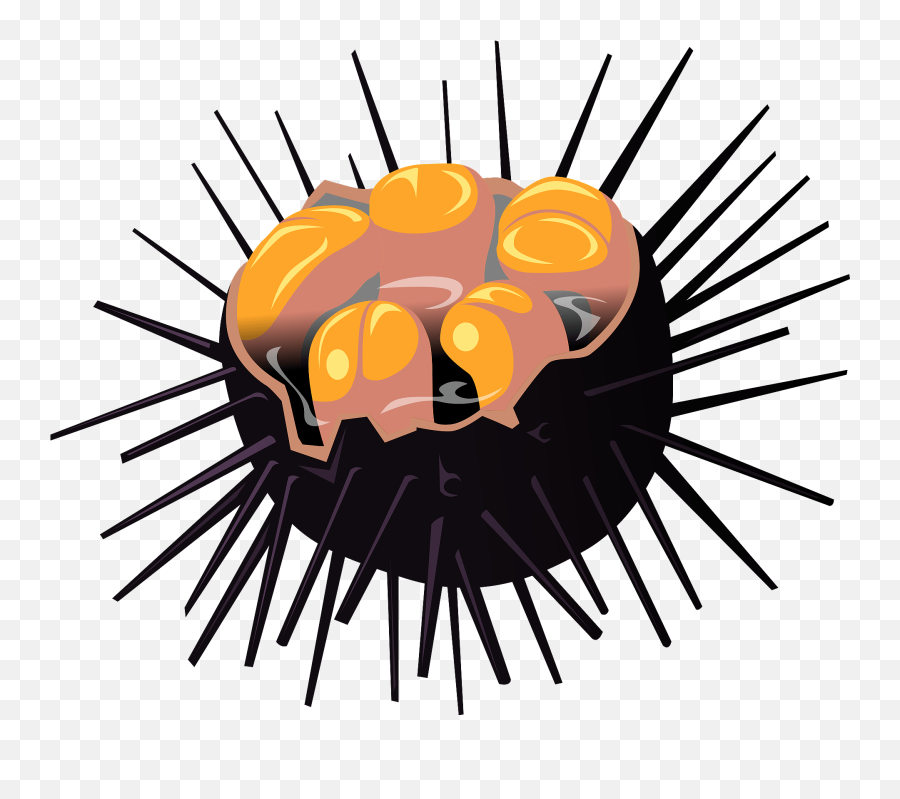 Sea Urchin Clipart - Language Emoji,Eel Emoji