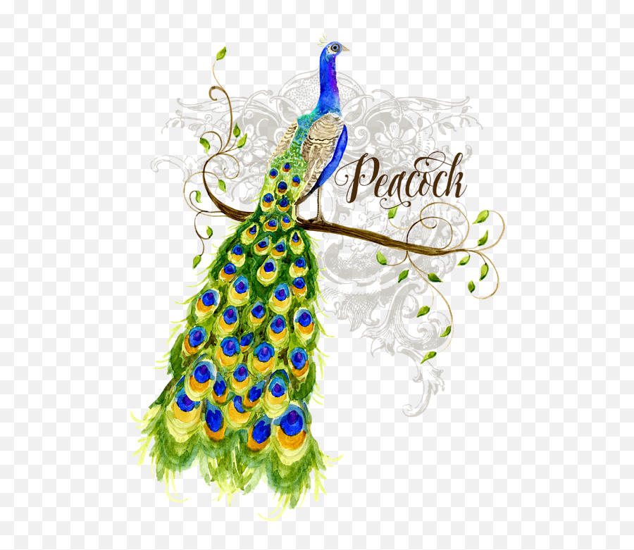 Art Nouveau Peacock W Swirl Tree Branch And Scrolls T - Shirt Emoji,Adult Emojis Peacock Feather Drawing