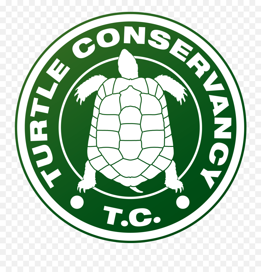 Turtle Conservancy U2014 Cites Meeting Turtle Conservationists Emoji,How To Make A Turtle Emoticon On Facebook