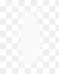 Residential Pest Control - Potts Pest Control Ocala Emoji,Cockroach Emoji Discord