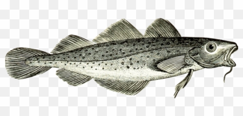Codfish Png Emoji,Madtown Emotion