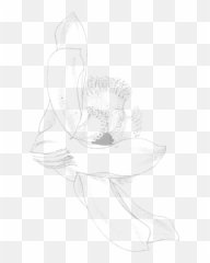 Herbal Essences - Slipper Orchids Emoji,You're Basically A Houseplant With More Complicated Emotions