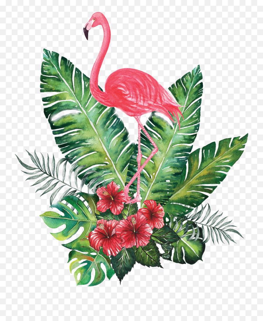 Diseña Bonito - Hereina Pintura Flamenca Pintura De Summer Transparent Background Flamingo Clipart Emoji,Flamingo Emoji