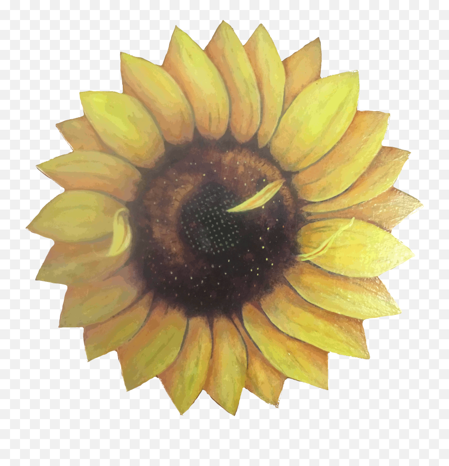 Ferns Floral Forests Emoji,Sunflowers Emotion
