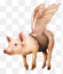Flying Animals Sticker Challenge - Transparent Flying Pigs Png Emoji,Flying Pigs Emoji