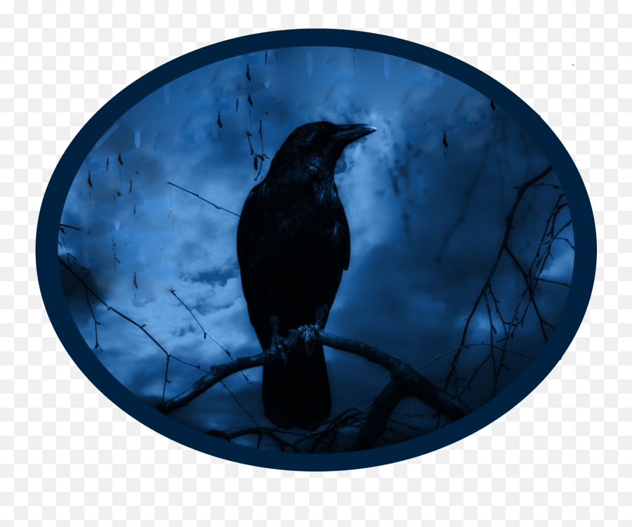 Raven - Edgar Allan Poe Stories Emoji,Raven With Emotions