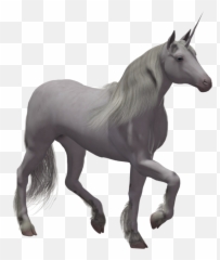 Unicorn Png - Unicorn Image No Background Emoji,Unicorn Emoji