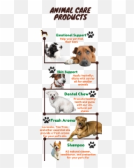 Animal - Scents U2013 Pawsitively Puppy Love Emoji,Emotion Scent Cans